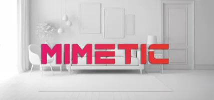 Mimetic - Prop hunt hide and seek