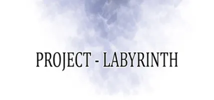 Project - Labyrinth