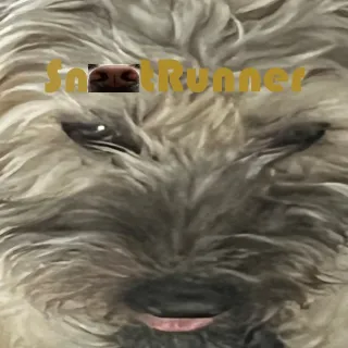 Snoot Runner