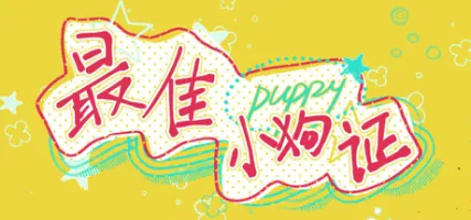 Best Puppy Certificate