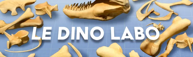 Le Dino Labo