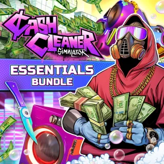 Cash Cleaner Simulator: The Essentials