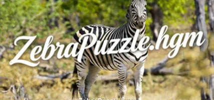 ZebraPuzzle.hgm