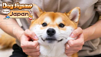 Dog Jigsaw from Japan